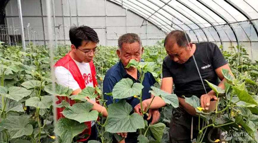 hF(xin)r(nng)I(y)Ƽʾ@߲˻ƼɆTcؓ(f)؟(z)˜ͨhƼֹD